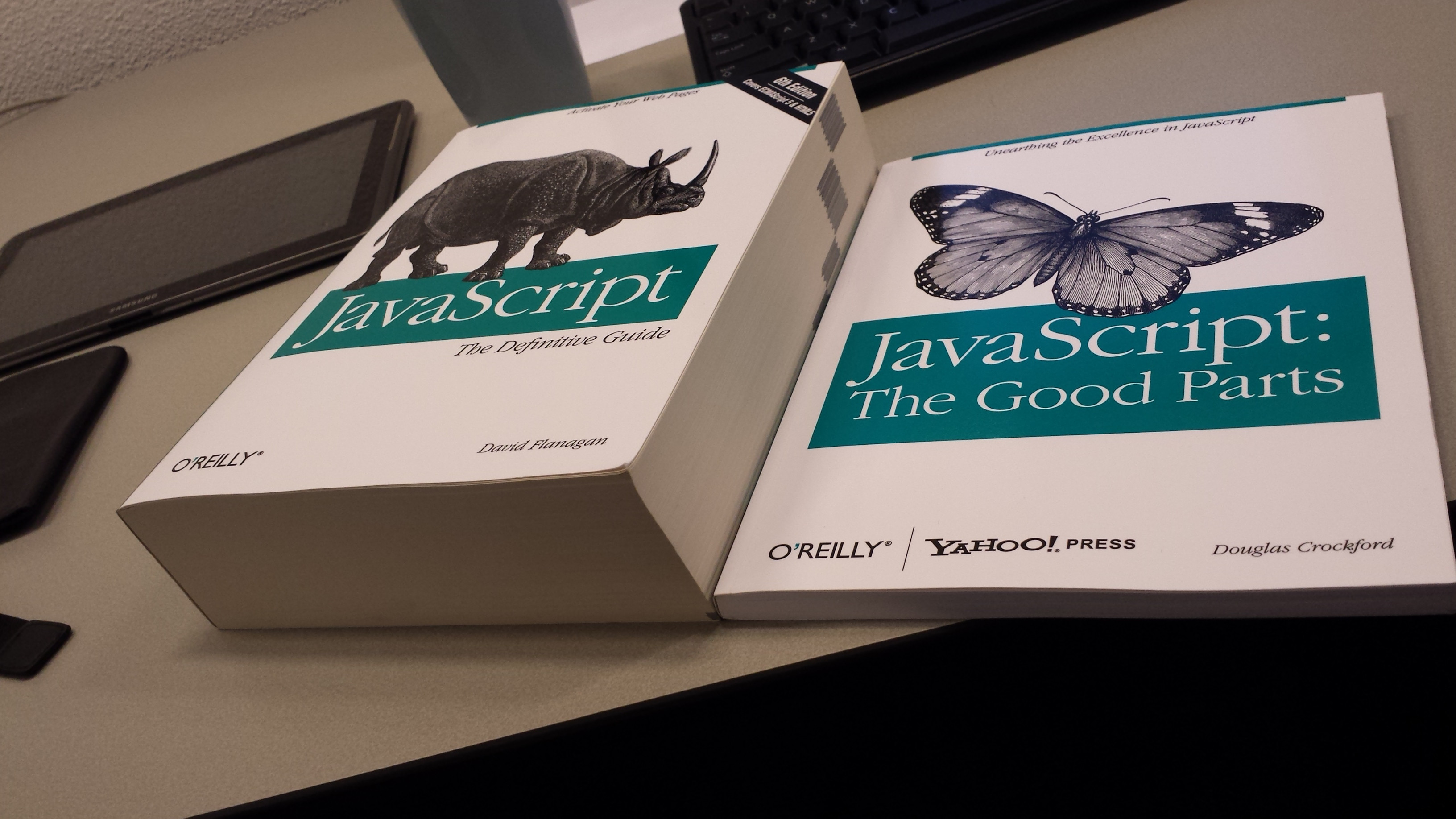 JavaScript: The Good Parts; a short book