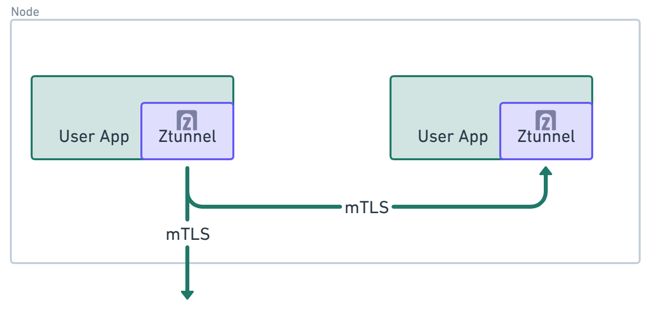 A networking view of Ztunnel architecture